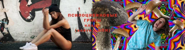 хмурый Алексеевка