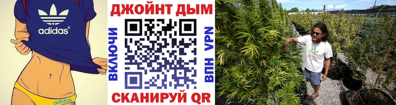 МАРИХУАНА индика Микунь